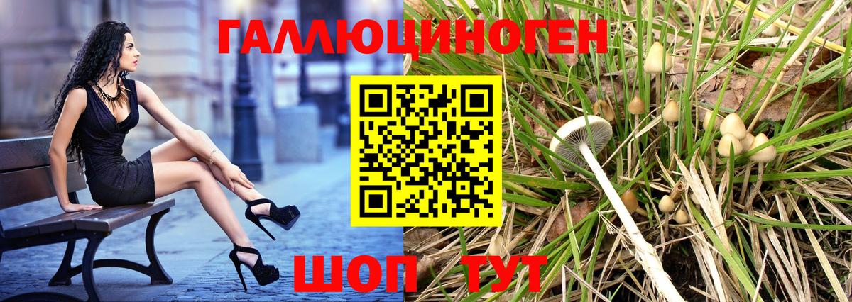 Ставрополь  Галлюциногенные грибы Cubensis  Вход с VPN 