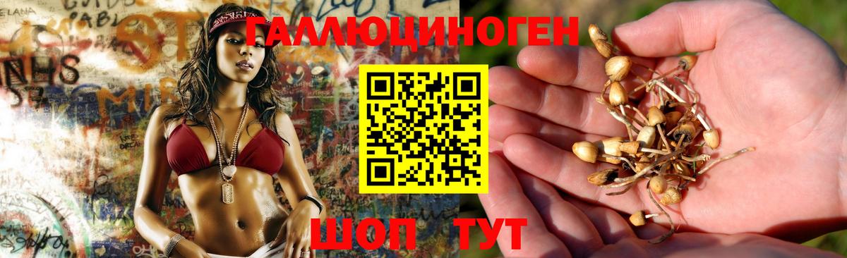 Галлюциногенные грибы мицелий Ставрополь